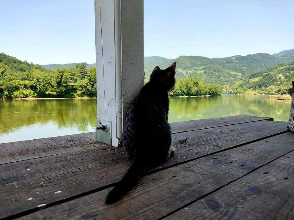 Case de vacanță Brvnara Drina Wooden House Drina Drlace