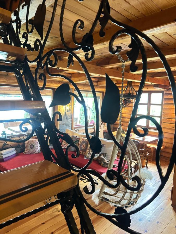 Case de vacanță Brvnara Drina Wooden House Drina *
